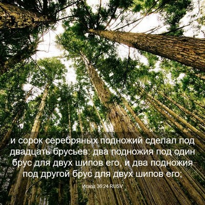 Picture 03 - Исход 36:24 RUSV - и сорок серебряных - Bible Verse Picture