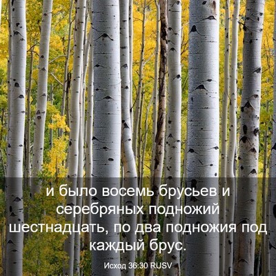 Picture 03 - Исход 36:30 RUSV - и было восемь брусьев и - Bible Verse Picture