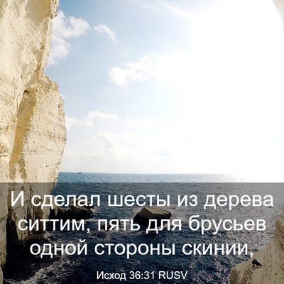 Picture 03 - Исход 36:31 RUSV - И сделал шесты из дерева - Bible Verse Picture