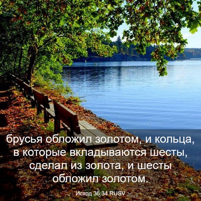 Picture 03 - Исход 36:34 RUSV - брусья обложил золотом, и - Bible Verse Picture