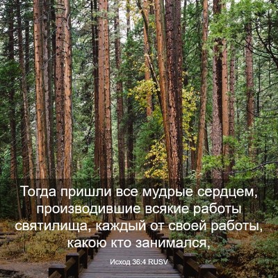 Picture 03 - Исход 36:4 RUSV - Тогда пришли все мудрые - Bible Verse Picture