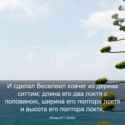 Picture 03 - Исход 37:1 RUSV - И сделал Веселеил ковчег - Bible Verse Picture