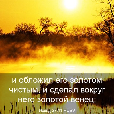 Picture 03 - Исход 37:11 RUSV - и обложил его золотом - Bible Verse Picture