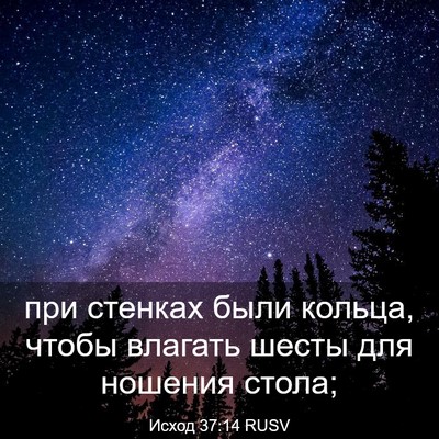 Picture 03 - Исход 37:14 RUSV - при стенках были кольца, - Bible Verse Picture