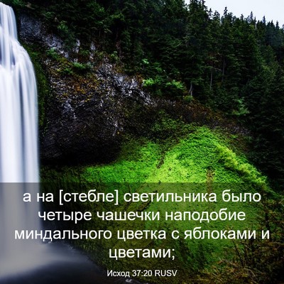 Picture 03 - Исход 37:20 RUSV - а на [стебле] светильника - Bible Verse Picture