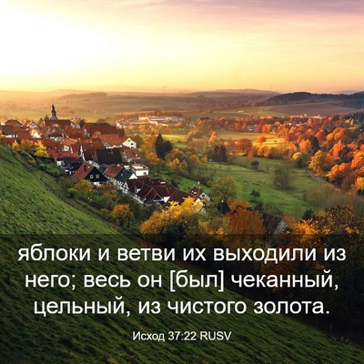 Picture 03 - Исход 37:22 RUSV - яблоки и ветви их выходили - Bible Verse Picture