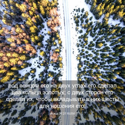 Picture 03 - Исход 37:27 RUSV - под венцом его на двух - Bible Verse Picture