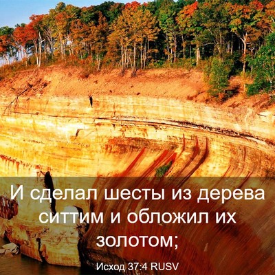 Picture 03 - Исход 37:4 RUSV - И сделал шесты из дерева - Bible Verse Picture