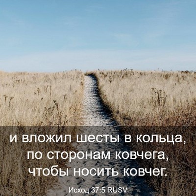 Picture 03 - Исход 37:5 RUSV - и вложил шесты в кольца, по - Bible Verse Picture
