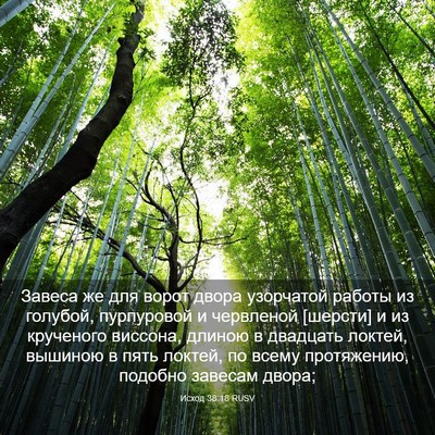 Picture 03 - Исход 38:18 RUSV - Завеса же для ворот двора - Bible Verse Picture