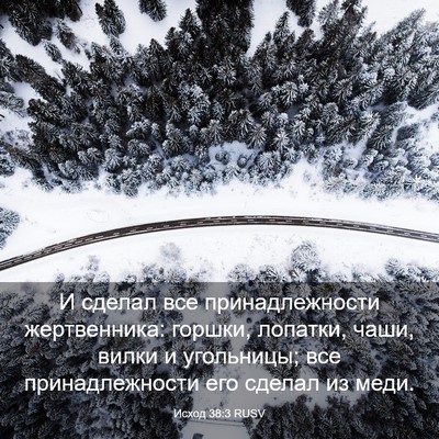Picture 03 - Исход 38:3 RUSV - И сделал все - Bible Verse Picture