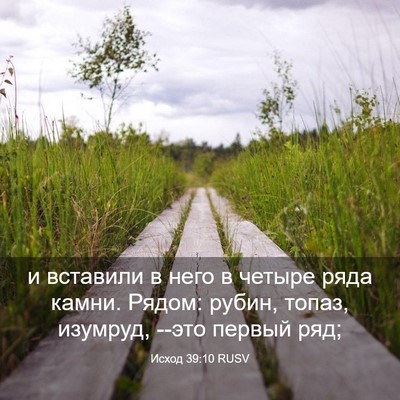 Picture 03 - Исход 39:10 RUSV - и вставили в него в четыре - Bible Verse Picture