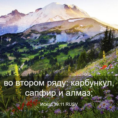 Picture 03 - Исход 39:11 RUSV - во втором ряду: карбункул, - Bible Verse Picture