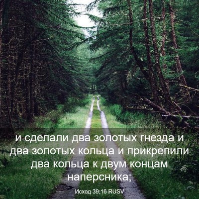 Picture 03 - Исход 39:16 RUSV - и сделали два золотых - Bible Verse Picture