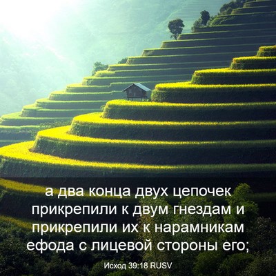 Picture 03 - Исход 39:18 RUSV - а два конца двух цепочек - Bible Verse Picture