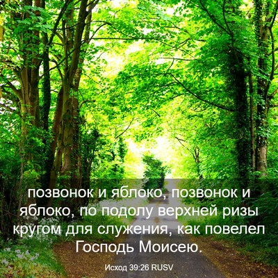 Picture 03 - Исход 39:26 RUSV - позвонок и яблоко, - Bible Verse Picture