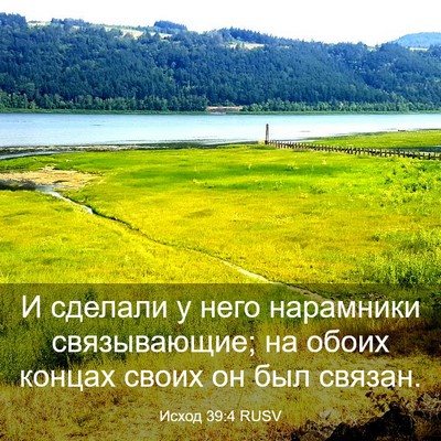 Picture 03 - Исход 39:4 RUSV - И сделали у него нарамники - Bible Verse Picture