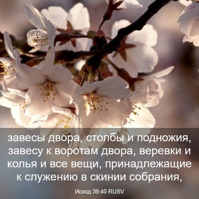 Picture 03 - Исход 39:40 RUSV - завесы двора, столбы и - Bible Verse Picture