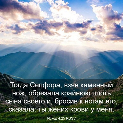 Picture 03 - Исход 4:25 RUSV - Тогда Сепфора, взяв - Bible Verse Picture