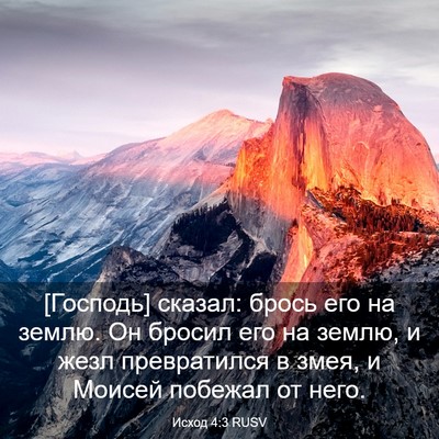 Picture 03 - Исход 4:3 RUSV - [Господь] сказал: брось его - Bible Verse Picture