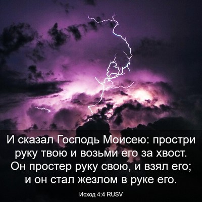 Picture 03 - Исход 4:4 RUSV - И сказал Господь Моисею: - Bible Verse Picture