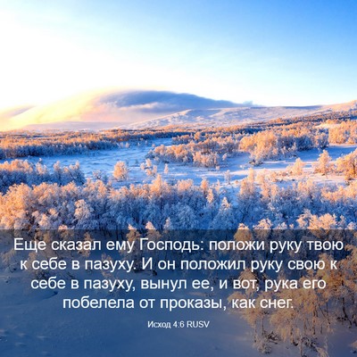 Picture 03 - Исход 4:6 RUSV - Еще сказал ему Господь: - Bible Verse Picture