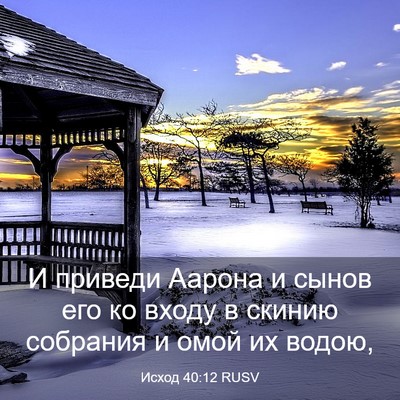 Picture 03 - Исход 40:12 RUSV - И приведи Аарона и сынов - Bible Verse Picture