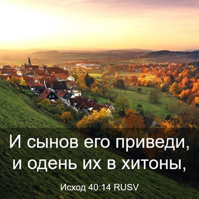 Picture 03 - Исход 40:14 RUSV - И сынов его приведи, и - Bible Verse Picture