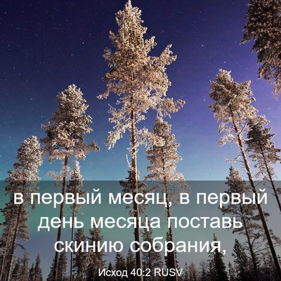 Picture 03 - Исход 40:2 RUSV - в первый месяц, в первый - Bible Verse Picture