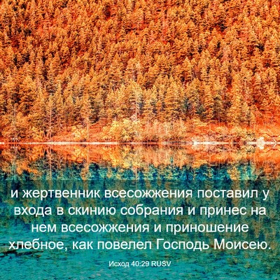 Picture 03 - Исход 40:29 RUSV - и жертвенник всесожжения - Bible Verse Picture