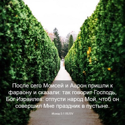 Picture 03 - Исход 5:1 RUSV - После сего Моисей и Аарон - Bible Verse Picture