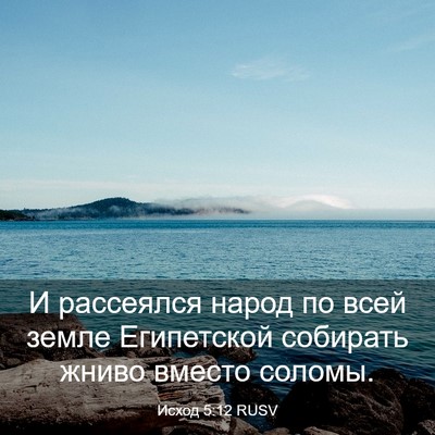 Picture 03 - Исход 5:12 RUSV - И рассеялся народ по всей - Bible Verse Picture