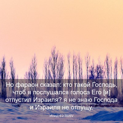 Picture 03 - Исход 5:2 RUSV - Но фараон сказал: кто такой - Bible Verse Picture