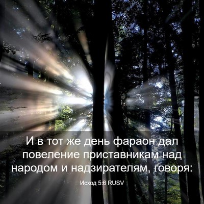 Picture 03 - Исход 5:6 RUSV - И в тот же день фараон дал - Bible Verse Picture