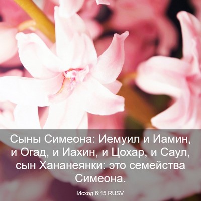 Picture 03 - Исход 6:15 RUSV - Сыны Симеона: Иемуил и - Bible Verse Picture