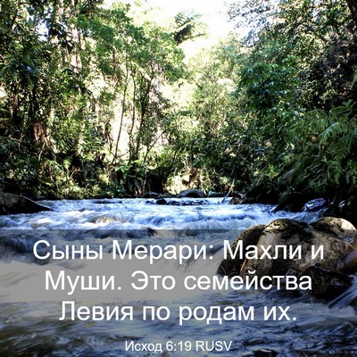 Picture 03 - Исход 6:19 RUSV - Сыны Мерари: Махли и Муши. - Bible Verse Picture