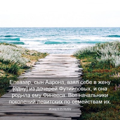 Picture 03 - Исход 6:25 RUSV - Елеазар, сын Аарона, взял - Bible Verse Picture