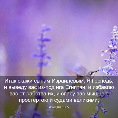 Picture 03 - Исход 6:6 RUSV - Итак скажи сынам - Bible Verse Picture