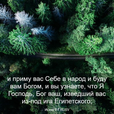 Picture 03 - Исход 6:7 RUSV - и приму вас Себе в народ и - Bible Verse Picture