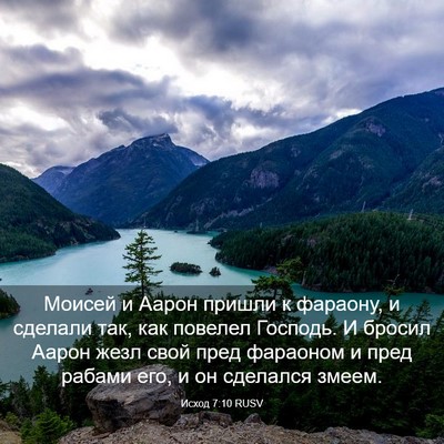 Picture 03 - Исход 7:10 RUSV - Моисей и Аарон пришли к - Bible Verse Picture