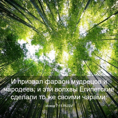 Picture 03 - Исход 7:11 RUSV - И призвал фараон мудрецов - Bible Verse Picture