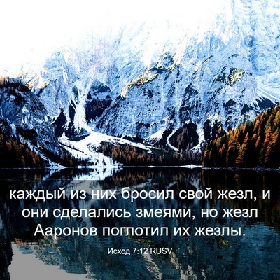 Picture 03 - Исход 7:12 RUSV - каждый из них бросил свой - Bible Verse Picture