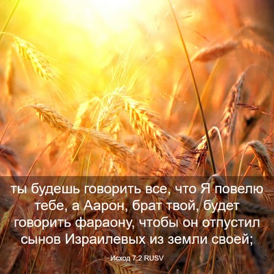 Picture 03 - Исход 7:2 RUSV - ты будешь говорить все, что - Bible Verse Picture