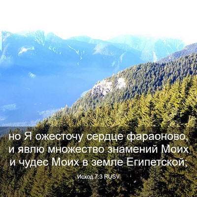 Picture 03 - Исход 7:3 RUSV - но Я ожесточу сердце - Bible Verse Picture