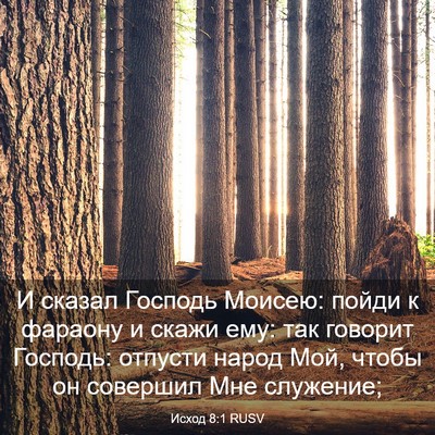 Picture 03 - Исход 8:1 RUSV - И сказал Господь Моисею: - Bible Verse Picture