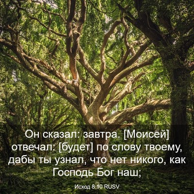 Picture 03 - Исход 8:10 RUSV - Он сказал: завтра. [Моисей] - Bible Verse Picture