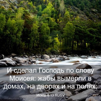 Picture 03 - Исход 8:13 RUSV - И сделал Господь по слову - Bible Verse Picture