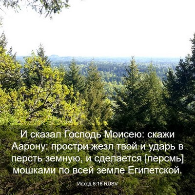 Picture 03 - Исход 8:16 RUSV - И сказал Господь Моисею: - Bible Verse Picture