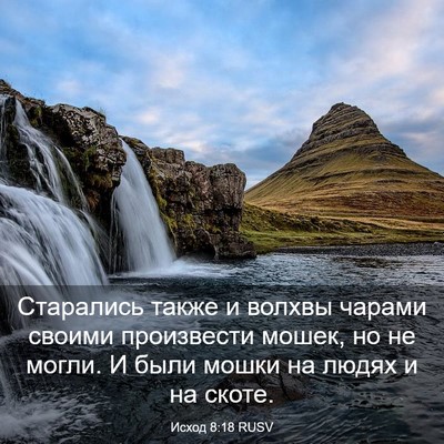 Picture 03 - Исход 8:18 RUSV - Старались также и волхвы - Bible Verse Picture