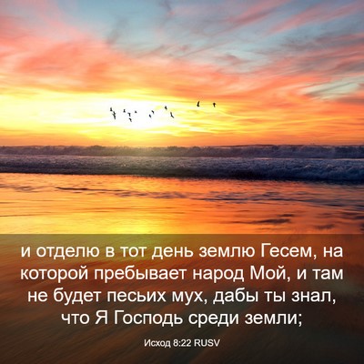 Picture 03 - Исход 8:22 RUSV - и отделю в тот день землю - Bible Verse Picture